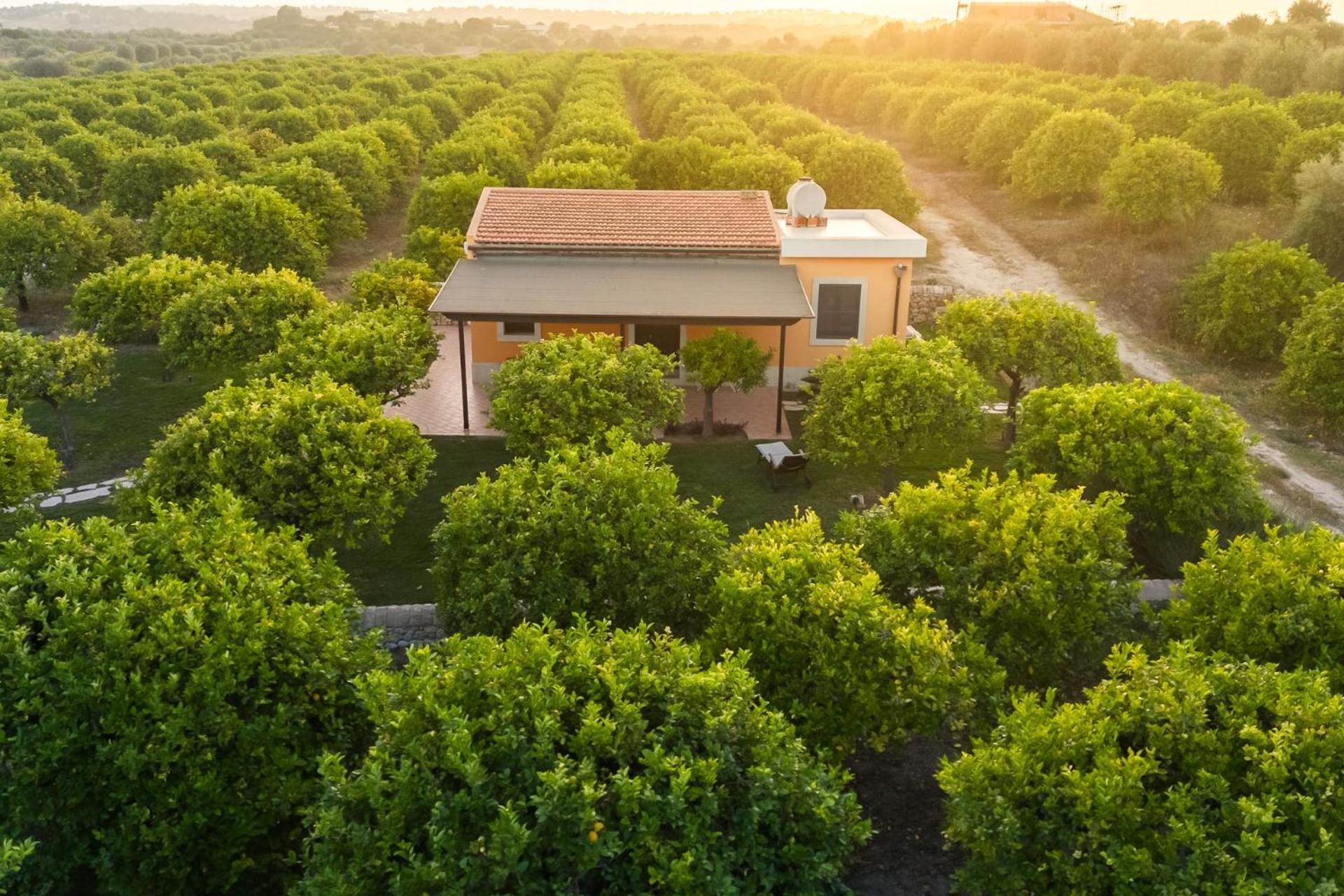 Fiore Di Vendicari B&B - Sicilian Charme, Lemon Grove And Sea Noto Exteriér fotografie